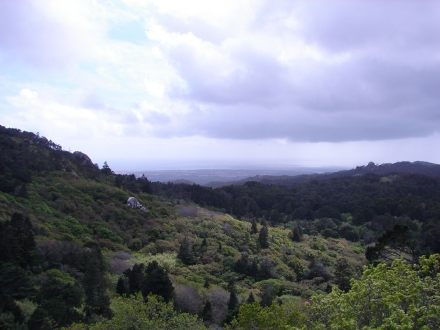 ocean in far distance.jpg